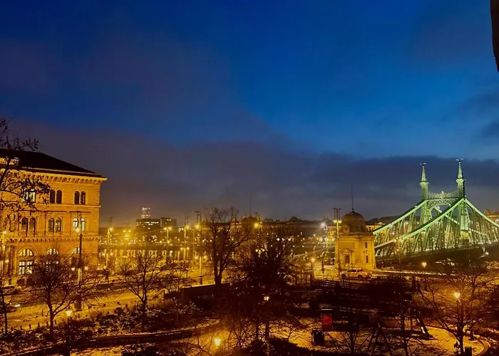 Panorama Balcony Danube River Great Market Hall アパート